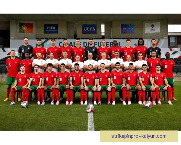 欧洲杯观察：各国大名单揭晓，明星球员表现值得关注